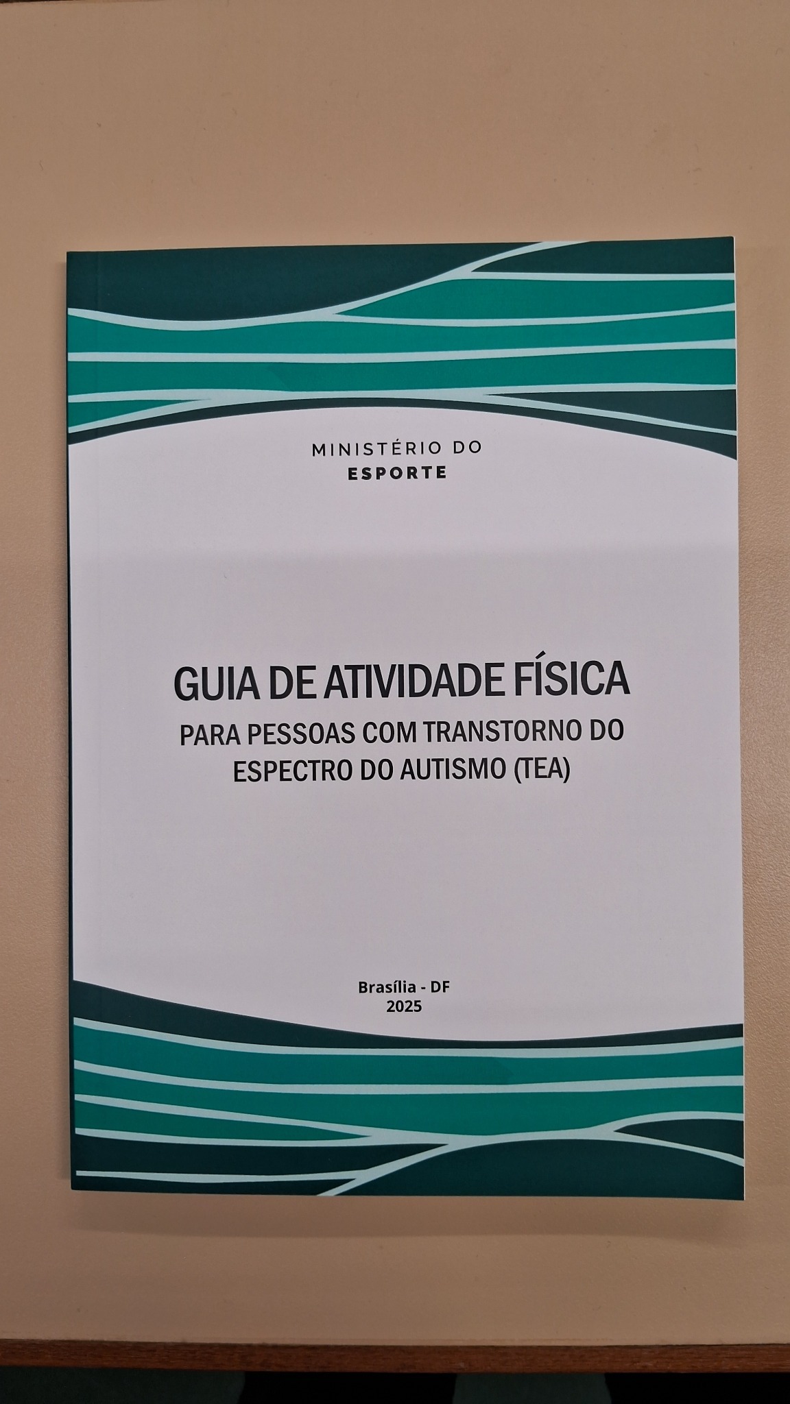 Guia de Atividade Física para Pessoas com Transtorno do Espectro do Autismo, publicado pelo Ministério do Esporte